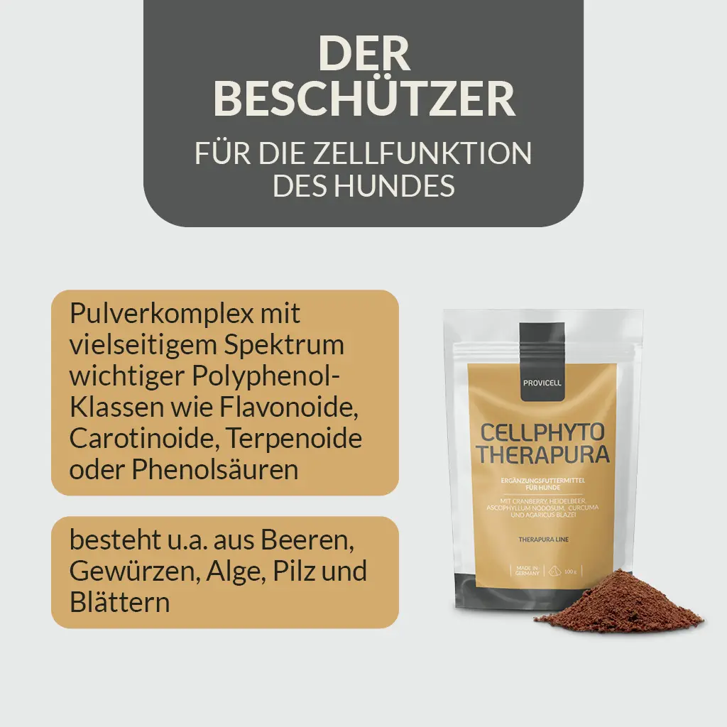PROVICELL_Cellphyto-Therapura_2.webp