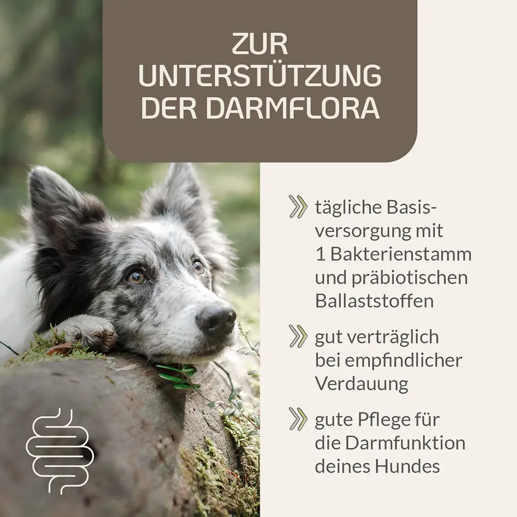 Probiotic Vital Hund 