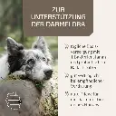 Probiotic Vital Hund 