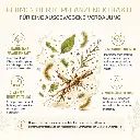 PROVICELL_Flora_EM_Therapura_1080_6b_Fermentation.webp