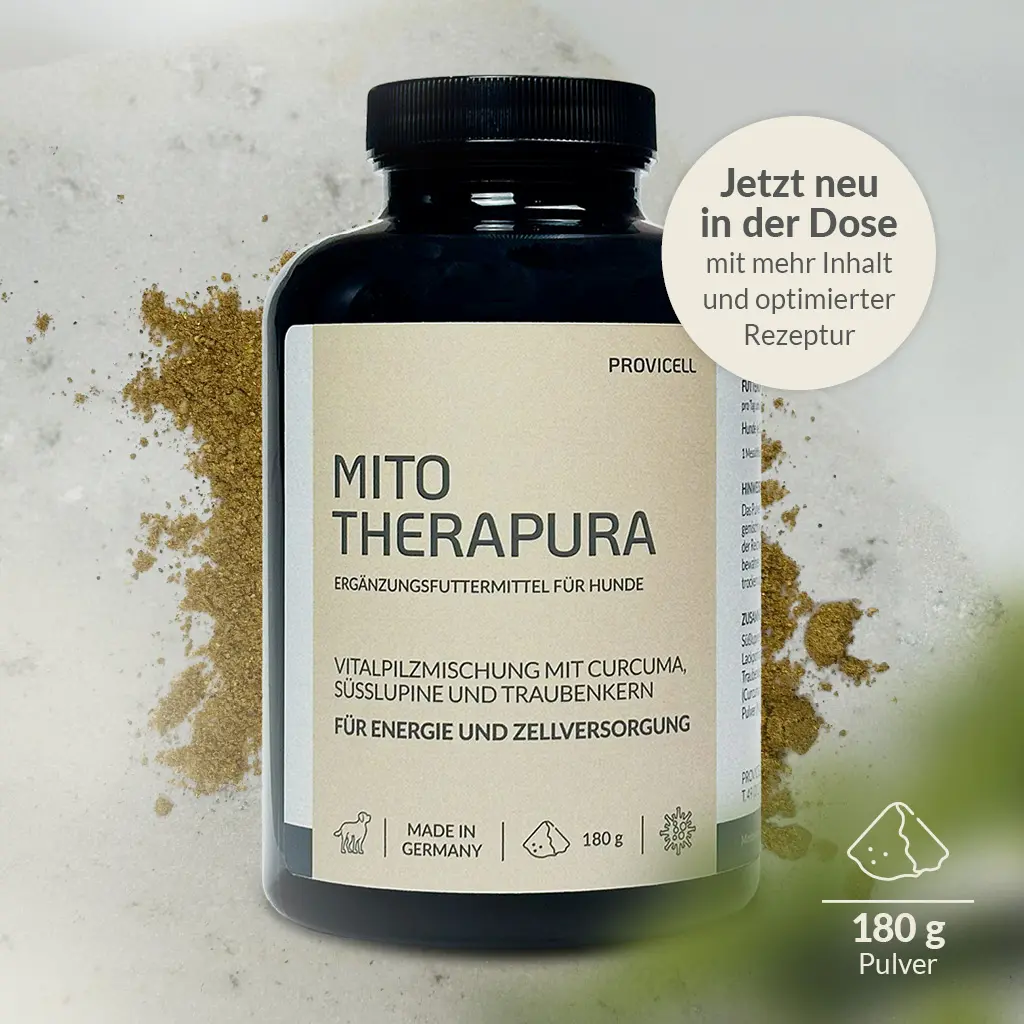 PROVICELL_Mito-Therapura_3-NEU.webp