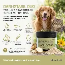 PROVICELL_Darmstabil-Duo_Fazit.webp