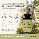 PROVICELL_Sanatox_Therapura_Fazit.webp