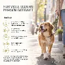 PROVICELL_Sanatox_Therapura_Situation.webp
