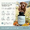 PROVICELL_Mobi_Gelenk_Plus_Fazit.webp