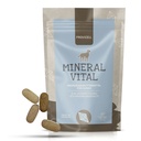 ​​​​Mineral Vital