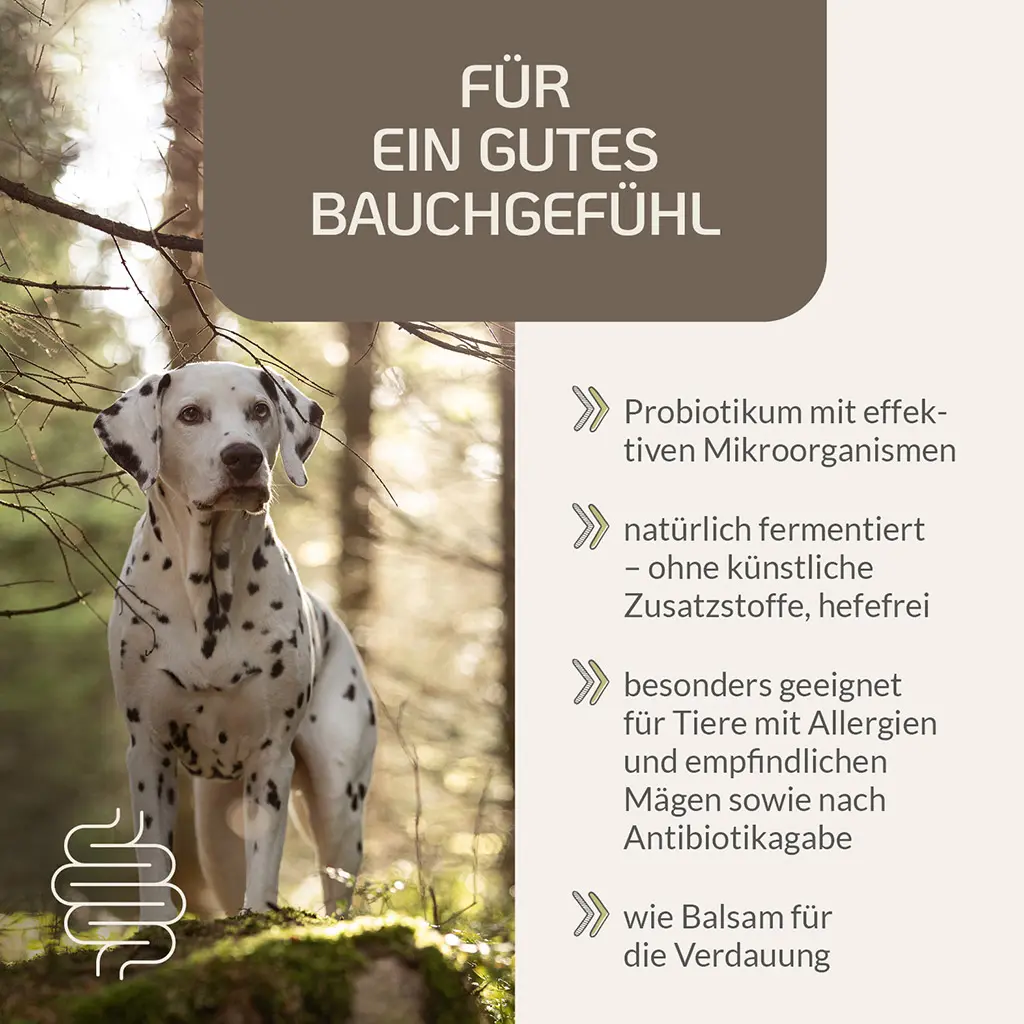 PROVICELL_EM-Vital_Hund_2.webp