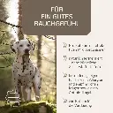 PROVICELL_EM-Vital_Hund_2.webp