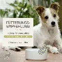 PROVICELL_EM-Vital_Hund_4.webp