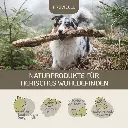 PROVICELL_EM-Vital_Hund_5.webp