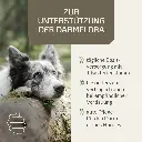 PROVICELL_Probiotic-Vital_Hund_2.webp