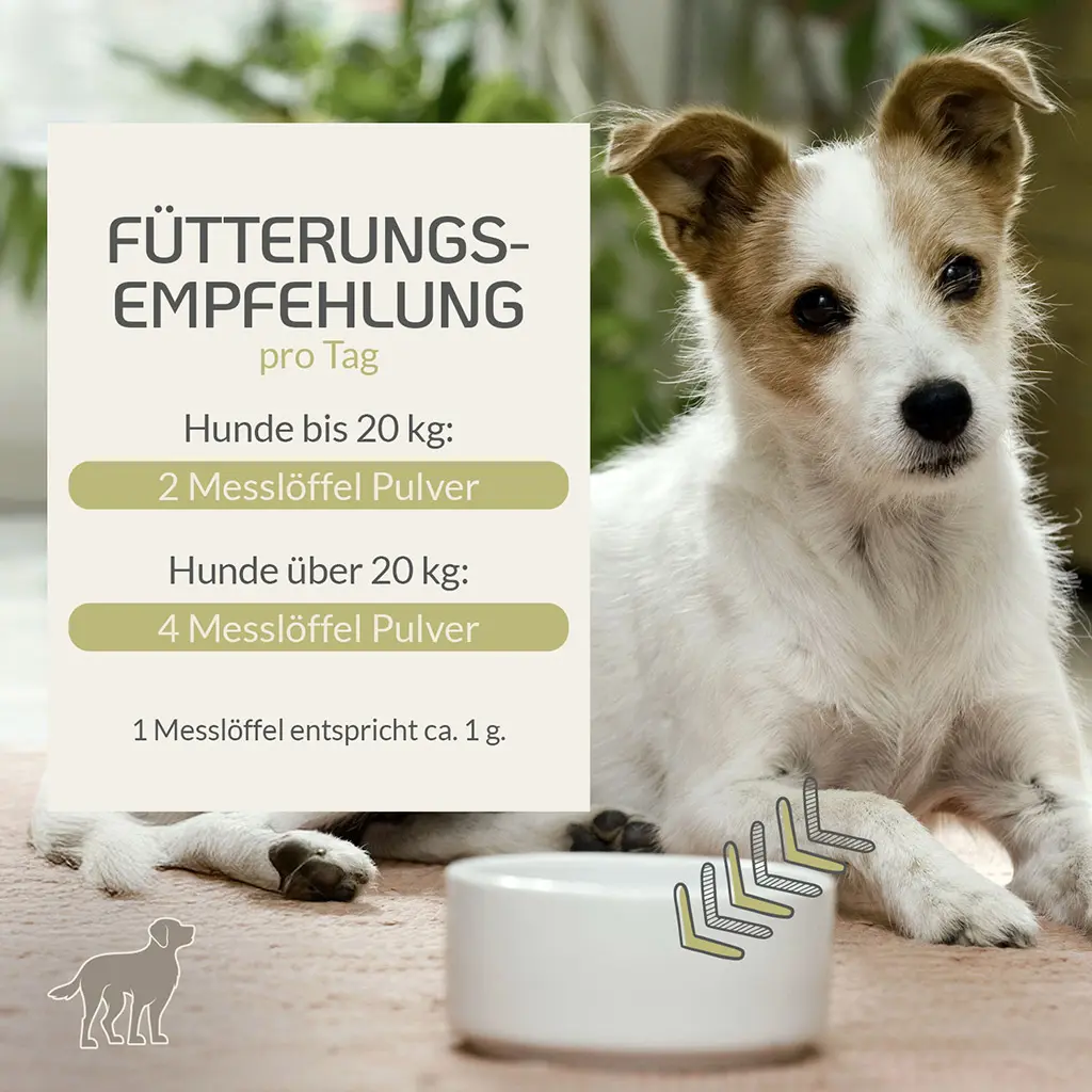 PROVICELL_Probiotic-Vital_Hund_4.webp