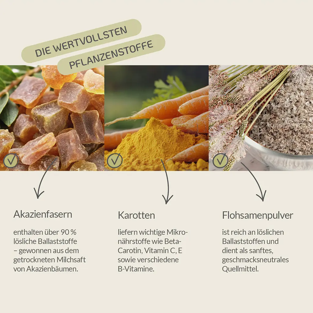 PROVICELL_Probiotic-Vital_Hund_3.webp