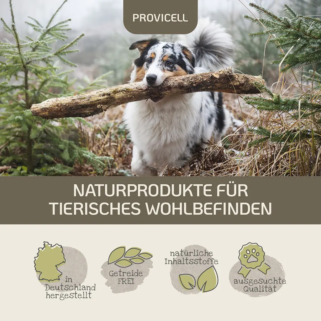 PROVICELL_Probiotic-Vital_Hund_5.webp