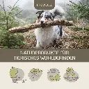 PROVICELL_Probiotic-Vital_Hund_5.webp