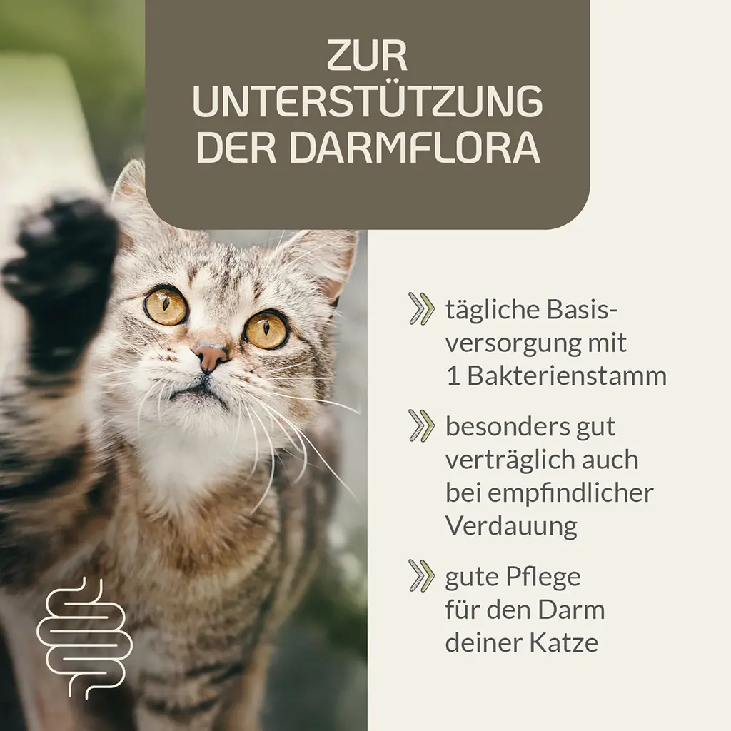 PROVICELL_Probiotic-Vital_Katze_2.webp