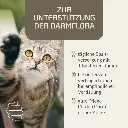 PROVICELL_Probiotic-Vital_Katze_2.webp