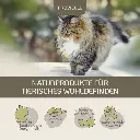 PROVICELL_Probiotic-Vital_Katze_5.webp