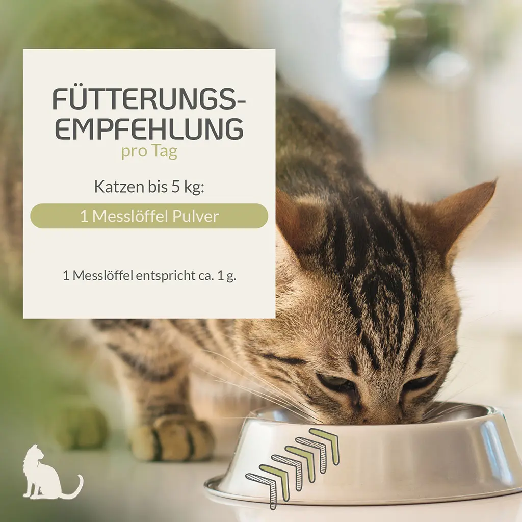 PROVICELL_Probiotic-Vital_Katze_4.webp