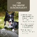 PROVICELL_Para-W-Vital_2.webp