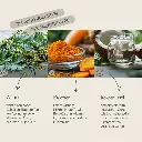 PROVICELL_Para-W-Vital_3.webp