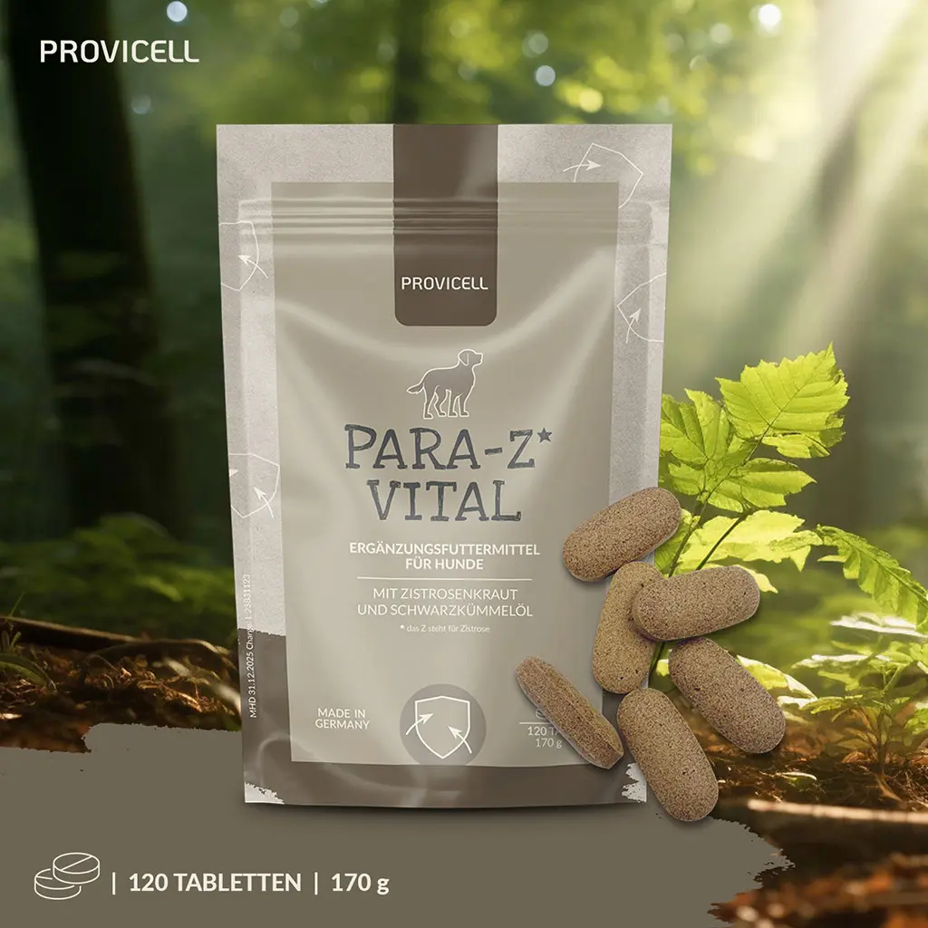 PROVICELL_Para-Z-Vital_6.webp