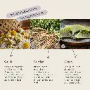 PROVICELL_Relax-Vital_3.webp