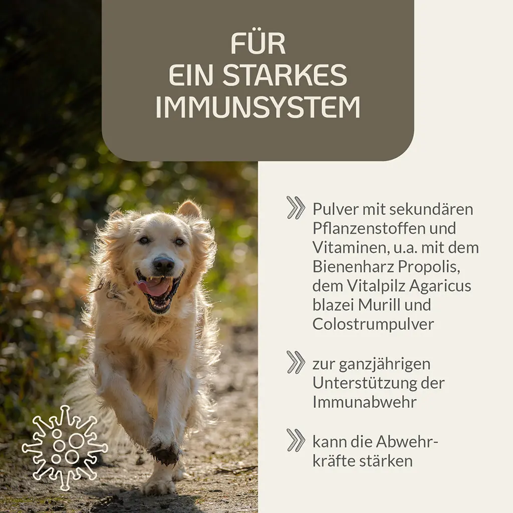 PROVICELL_Immun-Vital_2.webp