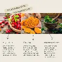 PROVICELL_Immun-Vital_3.webp