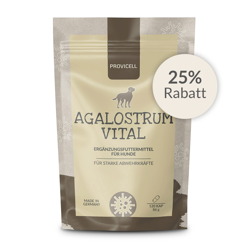 Agalostrum Vital