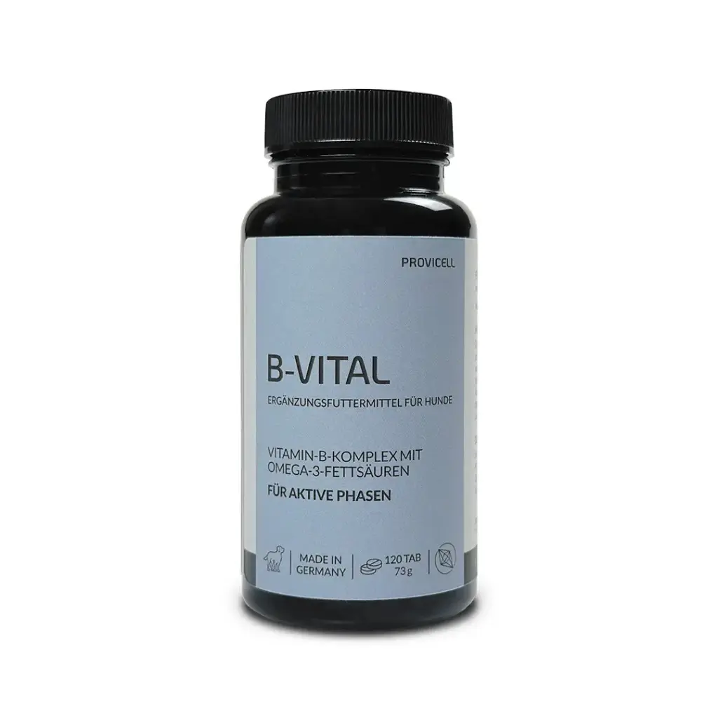 B-Vital