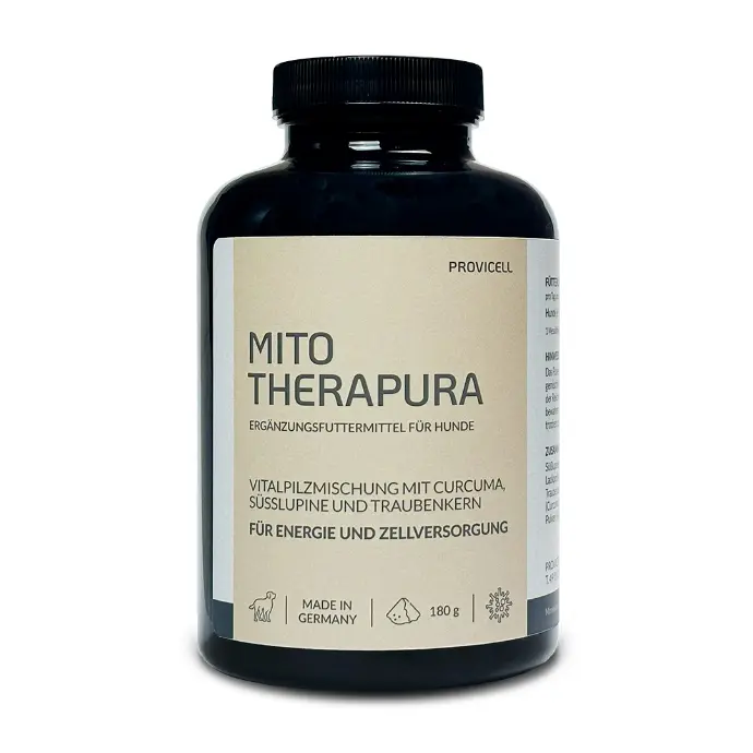 Mito Therapura