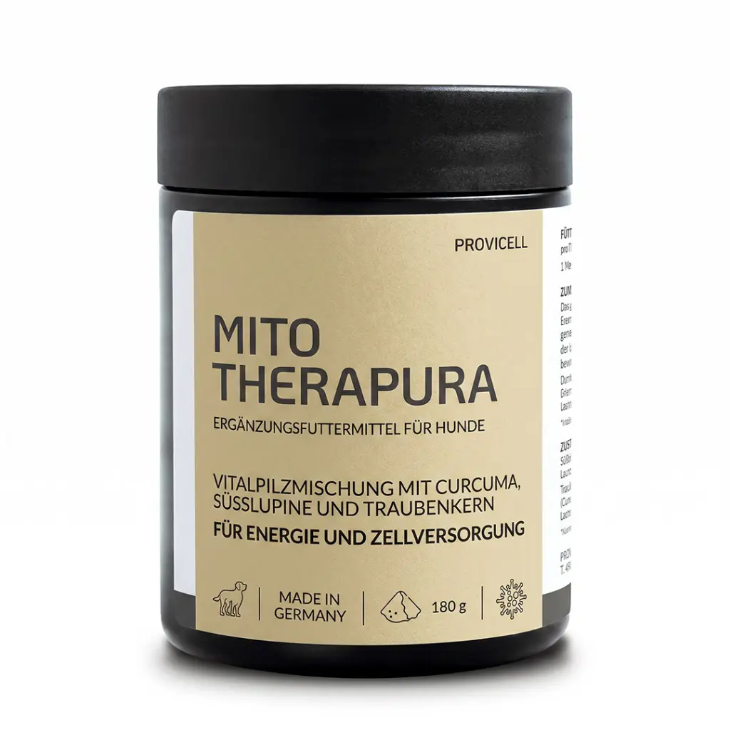 Mito Therapura