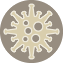 Immunsystem & Abwehrkräfte