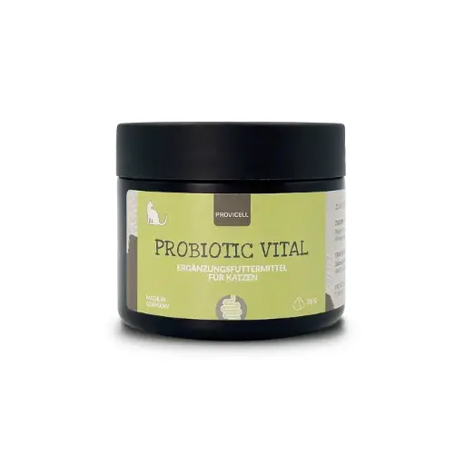 Probiotic Vital Katze