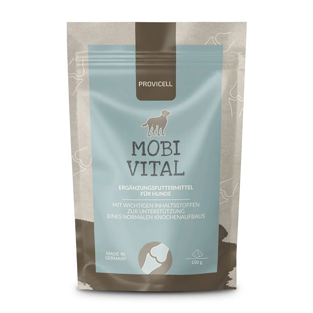 Billiges modvigil