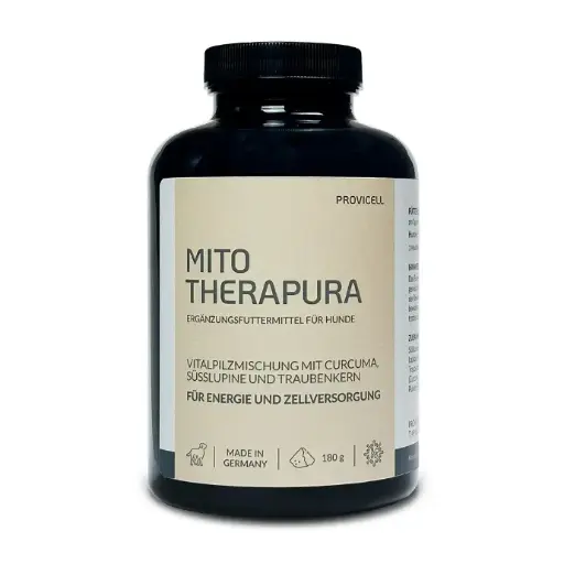 Mito Therapura