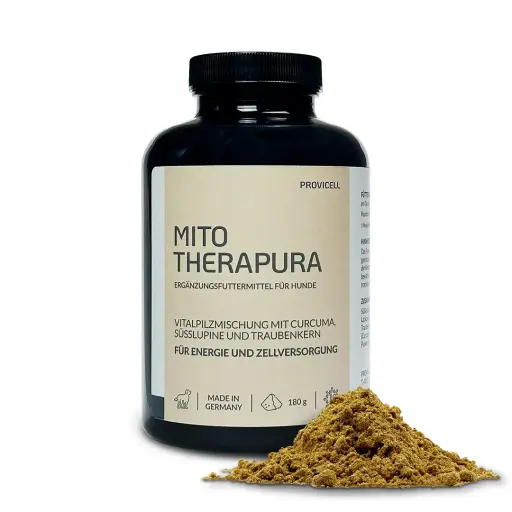Mito Therapura